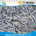 Seafrozen nova produção bqf anchova